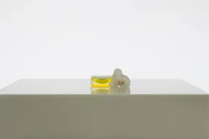 Infinity Bowls in Yellow