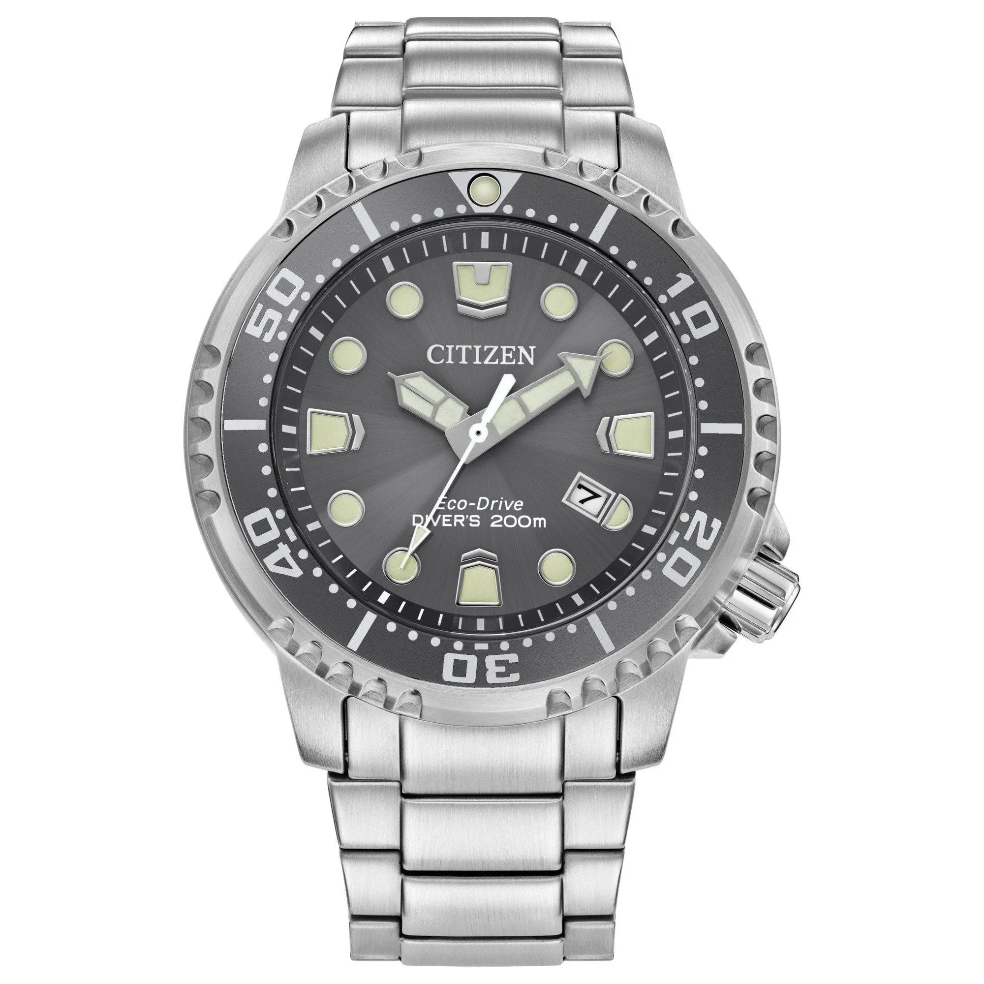Promaster Diver