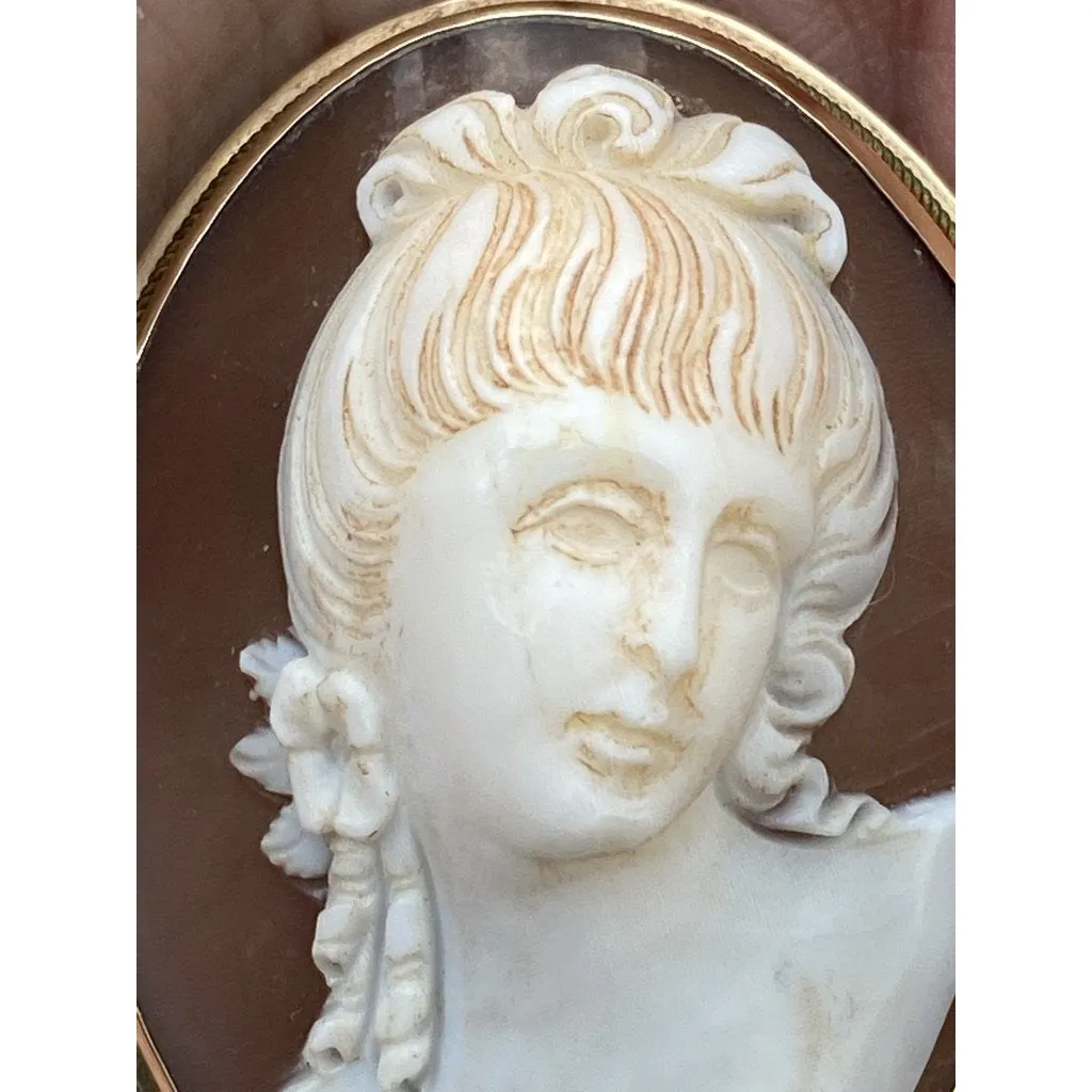 Rare Antique 19th Century Victorian Sardonyx  Cameo Brooch & Earrings 14K Gold