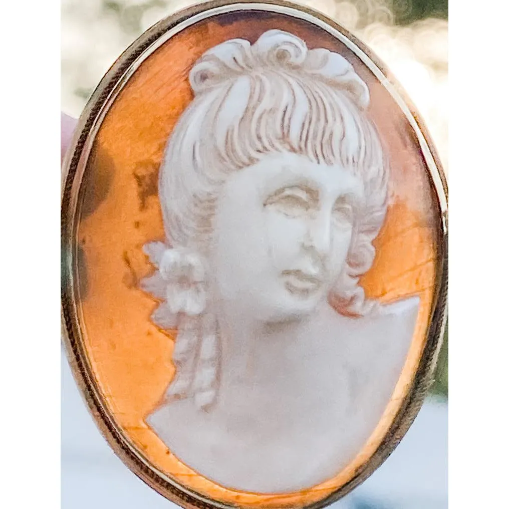 Rare Antique 19th Century Victorian Sardonyx  Cameo Brooch & Earrings 14K Gold