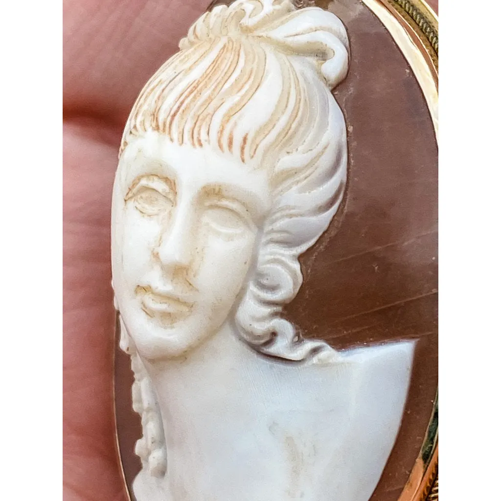 Rare Antique 19th Century Victorian Sardonyx  Cameo Brooch & Earrings 14K Gold