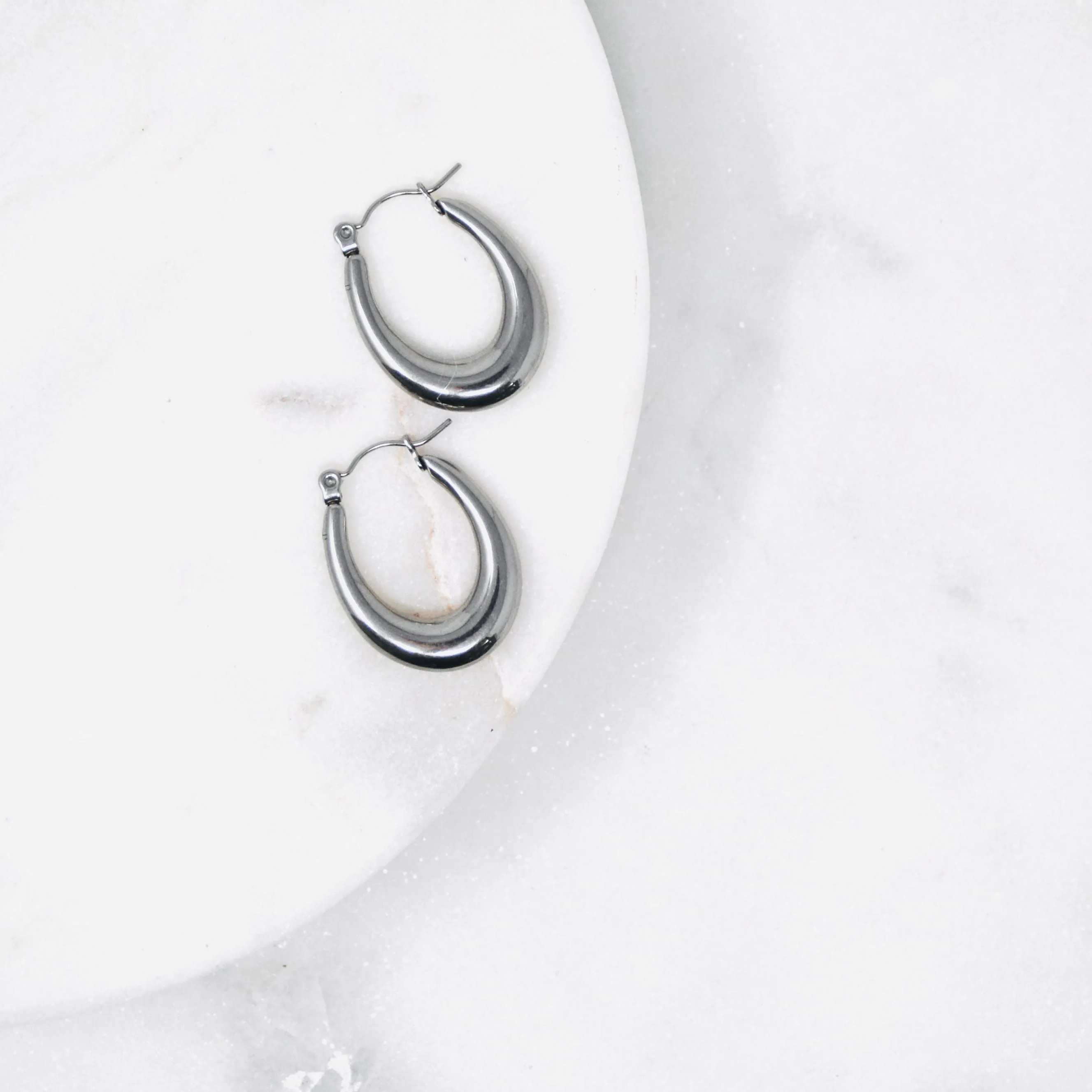 Retro Hoop Earrings - Stainless Loop